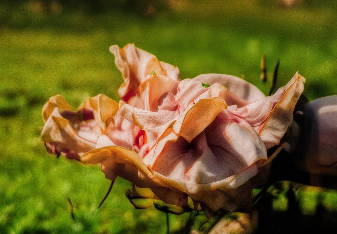 巴塞罗那vs利物浦：欧洲豪门对决前瞻解析(图2)